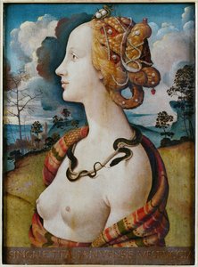 Portret van een vrouw genaamd Simonetta Vespucci door Piero di Cosimo