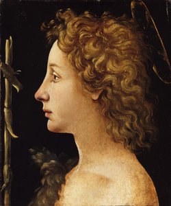 De jonge Sint Jan de Doper door Piero di Cosimo