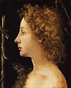 De Jonge Sint-Jan de Doper door Piero di Cosimo