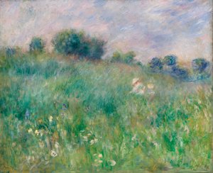 Weide door Pierre-Auguste Renoir