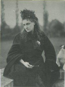 De honden