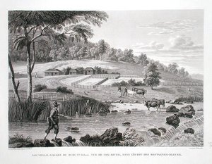 Nieuw-Zuid-Wales, Nieuw-Holland: Uitzicht op de Cox-rivier in het westen van de Blauwe Bergen, uit 