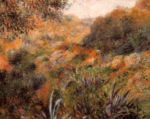 Algerijns landschap, de kloof van de wilde vrouw