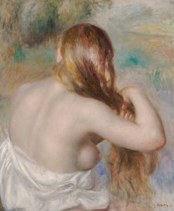 Blonde die Haar Haar Vlecht