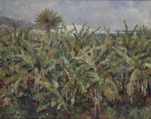 Veld van bananenbomen Champ de bananiers, 1881 door Pierre Auguste Renoir