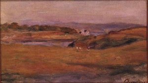 Heuvelachtig landschap