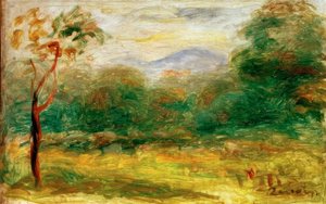Landschap van de Midi (Cagnes)