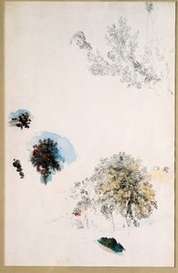 Studies van bomen door Pierre Auguste Renoir
