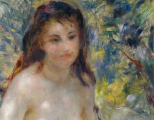 Vrouwentorso in de zon door Pierre Auguste Renoir