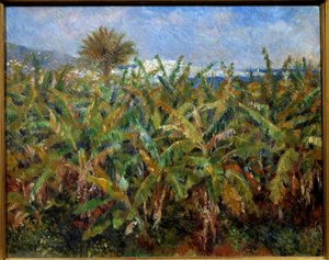 Een veld met bananenbomen door Pierre Auguste Renoir