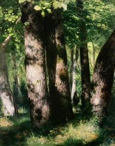 Onbekend schilderij door Pierre Auguste Renoir