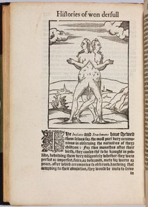 Een verzameling buitengewone verhalen Histoires prodigieuses, 1560