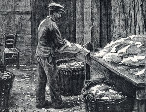 Leer: splitsen van konijnenhuiden om leer te maken Gravure uit "Excursion a travers les metiers" door Pierre Calmette Privécollectie door Pierre Calmettes
