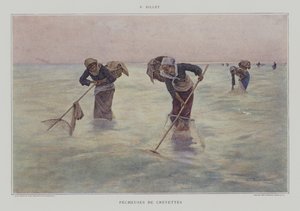 Garnalenvisseressen
