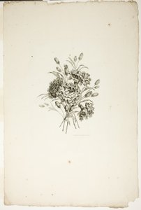 Boeket met anjers, uit de collectie van verschillende bloemenboeketten, bedacht en getekend door Jean Pillement en gegraveerd door P. C. Canot