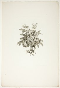 Boeket met pioenen, uit een verzameling van verschillende boeketten bloemen, bedacht en getekend door Jean Pillement en gegraveerd door P. C. Canot door Pierre Charles Canot