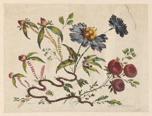 Print, Flower Boughs, uit "Recueil de Differentes Fleurs de Fantaisie Dans le Goût Chinois". door Pierre Charles Canot