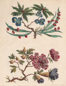 Twee takjes van denkbeeldige bloemen