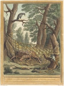 De Kraai, de Gazelle, de Schildpad en de Rat door Pierre Chenu after Jean Baptiste Oudry