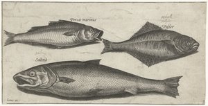 Zeebaars, tong en een zalm door Pierre Firens