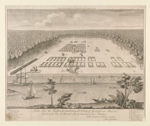 Uitzicht op Savannah