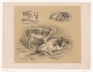 Drie studies van runderen
