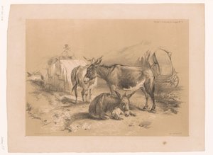 Studie van drie ezels Dierstudies van Cooper (serie titel) door Pierre Frédéric Lehnert
