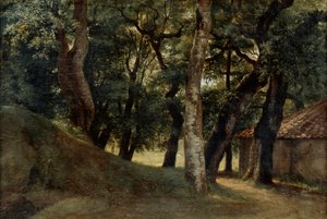 Bos van de Villa Borghese, laat 18e-vroeg 19e eeuw door Pierre Henri de Valenciennes