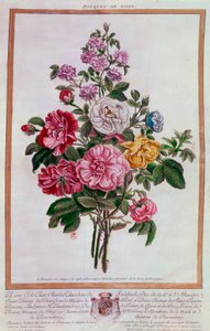 Boeket rozen, lithografie door Pierre Joseph Buchoz, 18e eeuw, Parijs, B.N. door Pierre Joseph Buchoz