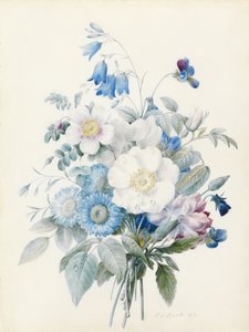 Blauwe asters, rosa spinosissima (hybride), klokjesbloem, viooltjes, anjer en een wilde roos door Pierre Joseph Redouté