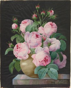 Roze rozen in een vaas