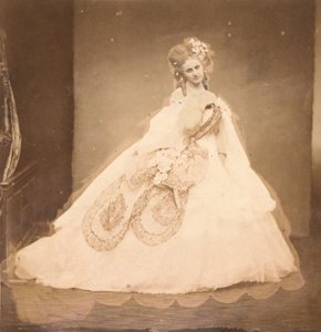 La Bisi. Boudoir, grijze fluwelen jurk, roze moiré, roze bloemen, grijze bladeren van zijn mei, 1860s door Pierre Louis Pierson