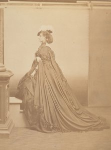 De hoed met veren (1860s)