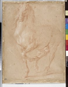 Paardenstudie door Pierre Puget