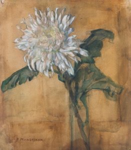 Chrysant door Piet Mondrian