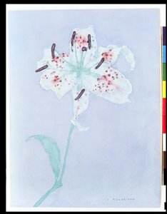 Lelie, na 1921 door Piet Mondrian