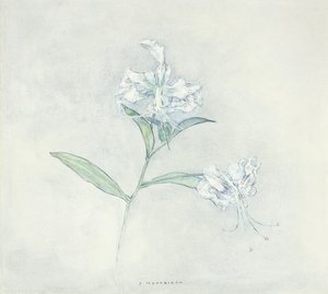 Twee Japanse lelies door Piet Mondrian