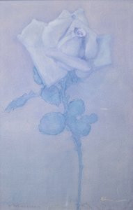 Witte roos door Piet Mondrian