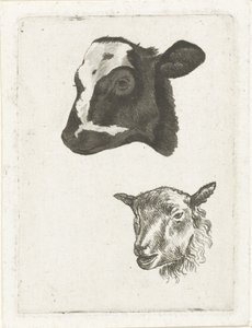 Kop van zwartbont kalf en schaap door Pieter Barbiers (IV)
