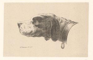 Hondenkop met halsband door Pieter Bartholomeusz. Barbiers