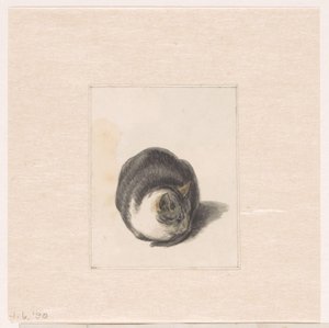 Zittende kat, van voren gezien door Pieter Bartholomeusz. Barbiers
