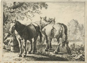 Drie paarden en een boer door Pieter Bodding van Laer