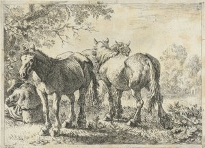 Drie paarden en een boer door Pieter Bodding van Laer