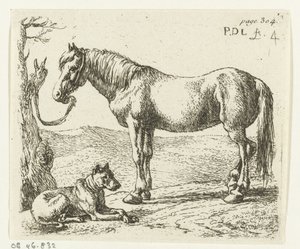 Paard en hond in een weide