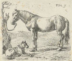 Paard en hond in een weide