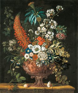 December, uit De Twaalf Maanden van Bloemen, een bloemkalender van stillevens, 1730 door Pieter Casteels
