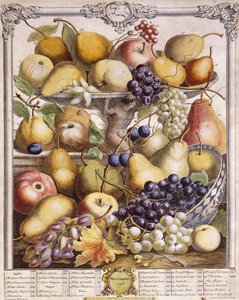November 1732, met seizoensgebonden appels, peren, druiven enz., 1732