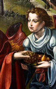  door Pieter Coecke van Aelst