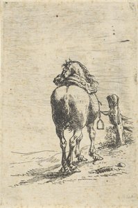 Gezadeld paard aan een paal door Pieter Cornelisz. Verbeeck