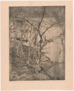 Kale bomen bij het water door Pieter Dupont